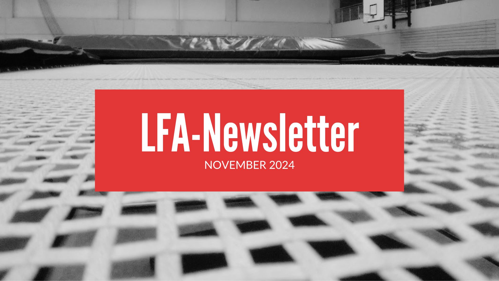 LFA-Newsletter November 2024 (Sonderausgabe Kampfrichterwesen)